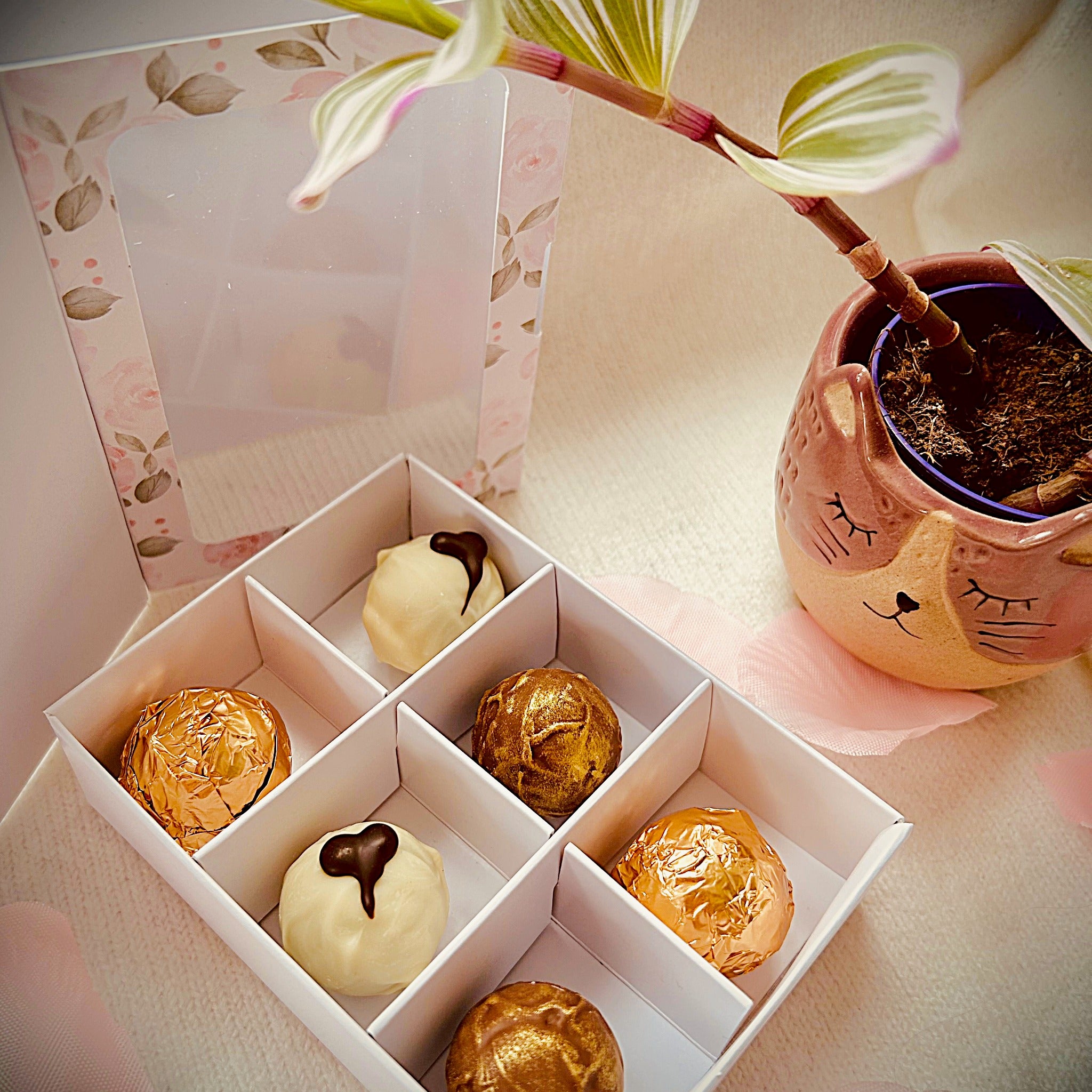 Lefevre Chocolate Mother's Day floral gift box of 6 artisan Belgian chocolate truffles, handmade in Shropshire